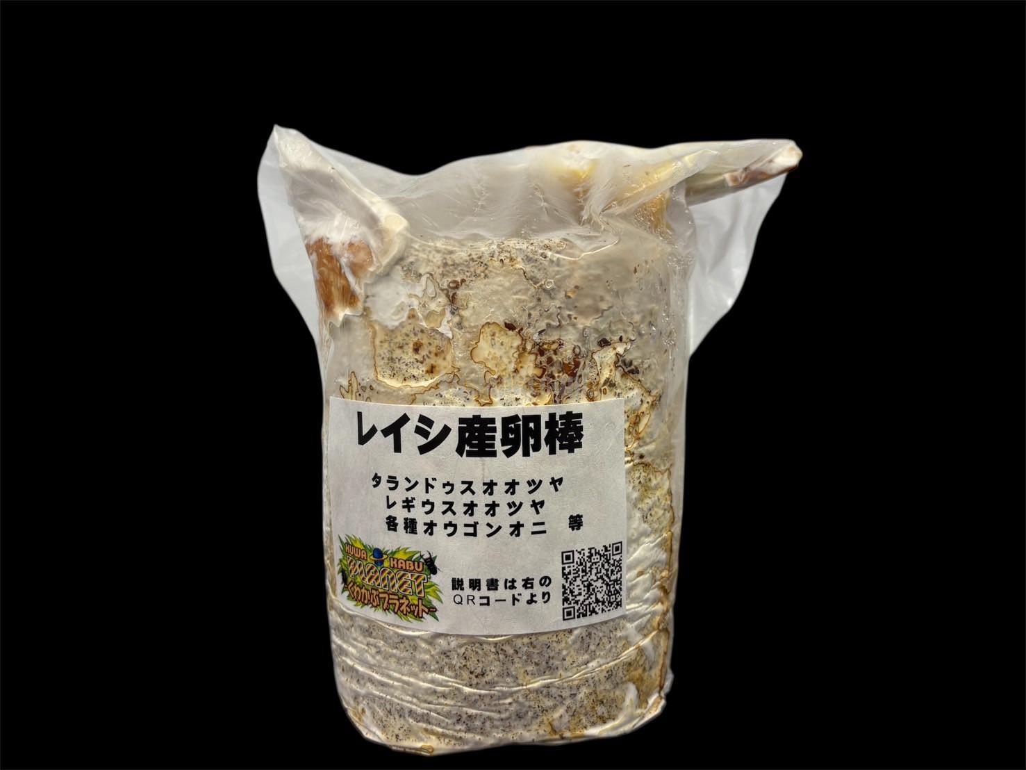 レイシ産卵棒