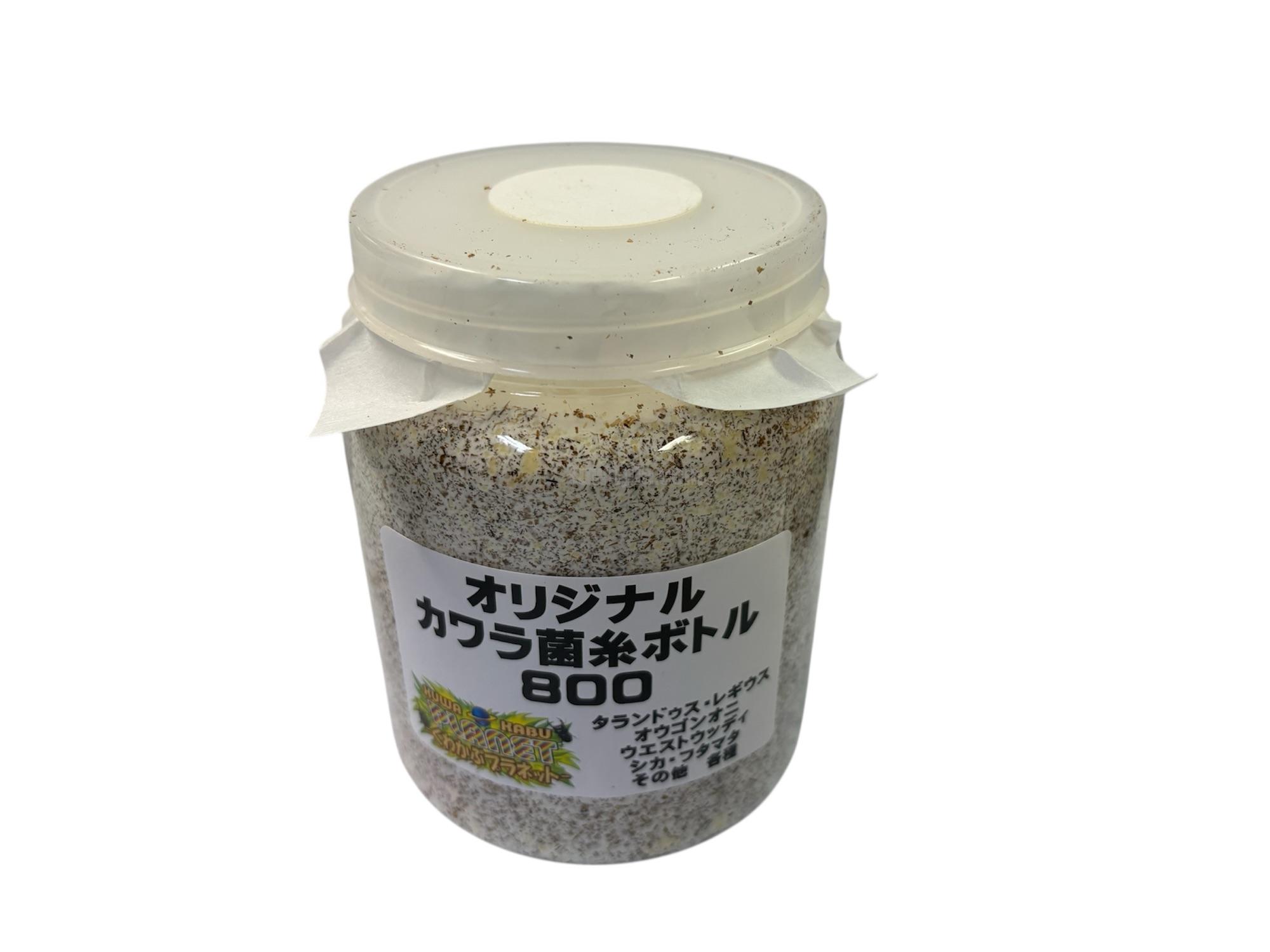 PlanetK800