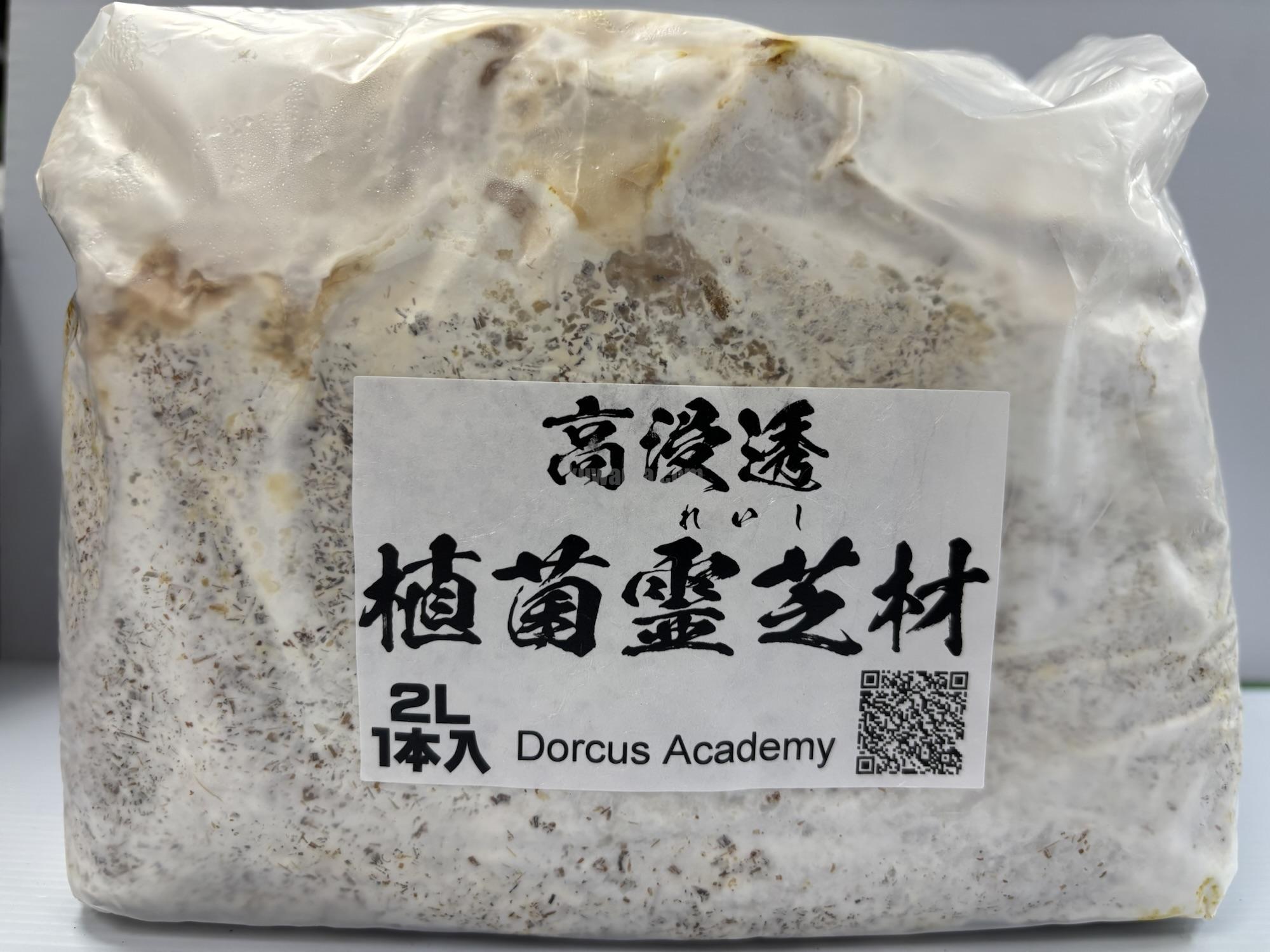 植菌霊芝2L